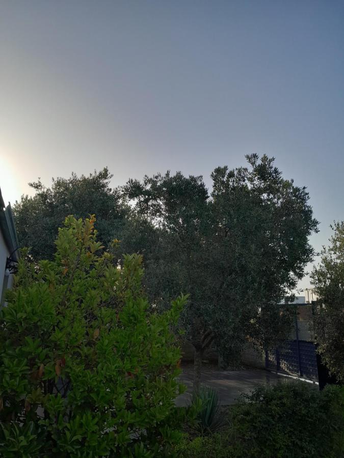 Hamallaj Garden Beach House מראה חיצוני תמונה